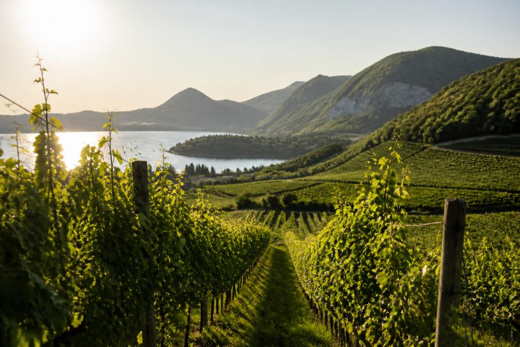 Franciacorta: Der italienische Schaumwein im Detail