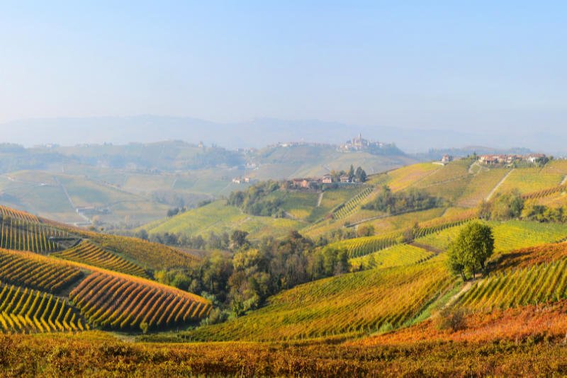 Piemont Wein: Was die Rebsorten und das Terroir besonders macht